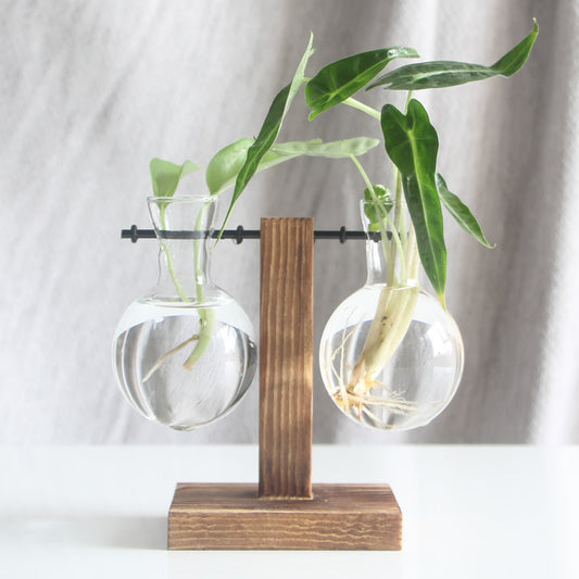 Vintage Glass Hydroponic Terrarium Plant Vase Decor