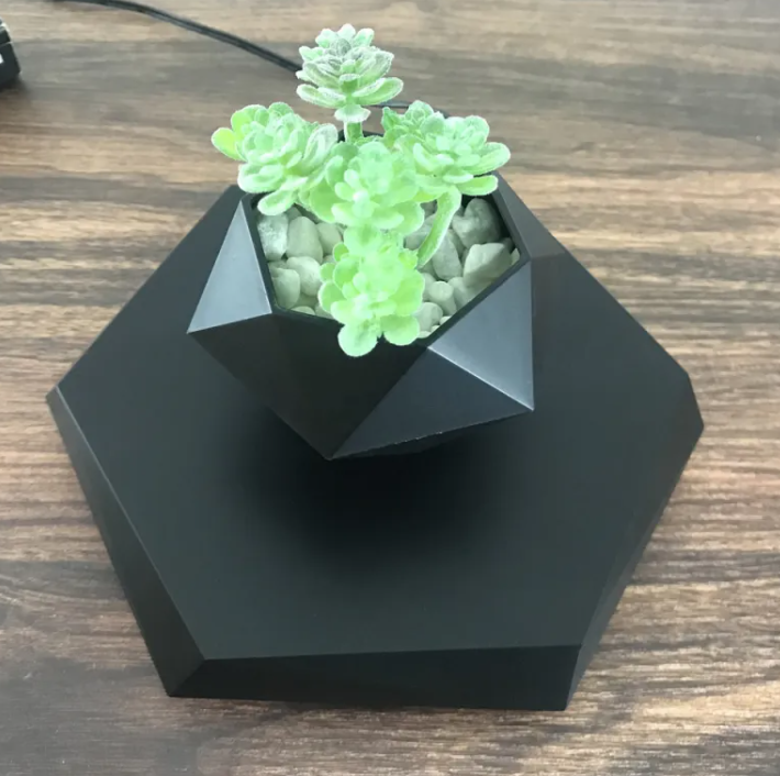 Floating Magnetic Air Plant Pot
