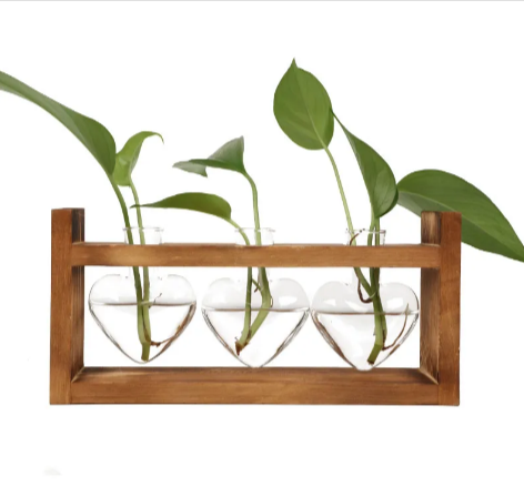 Heart-Shaped Glass Vase with Wooden Stand